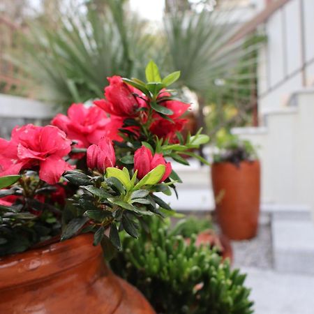 Casa Das Chaes Канісада Екстер'єр фото